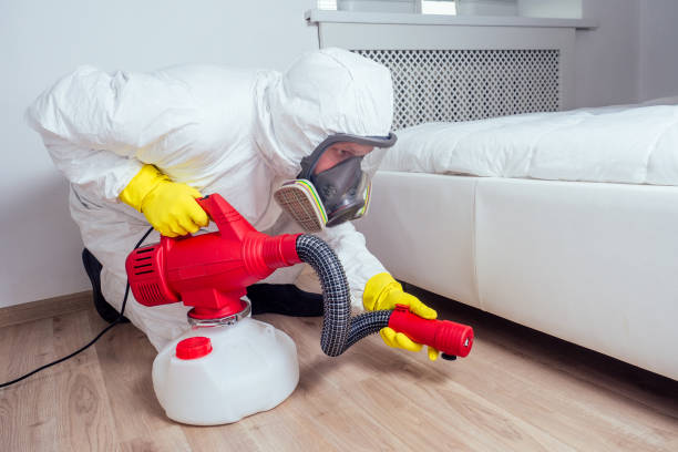 Best Commercial Pest Control Services  in Youngtown, AZ