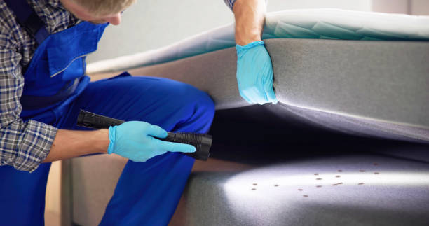 Trusted Youngtown, AZ Pest Control Experts